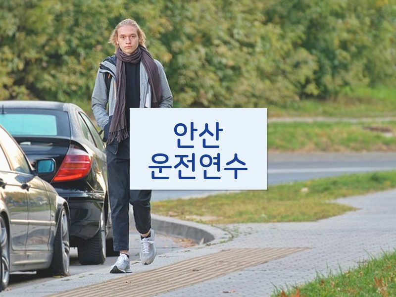 안산운전연수 후기