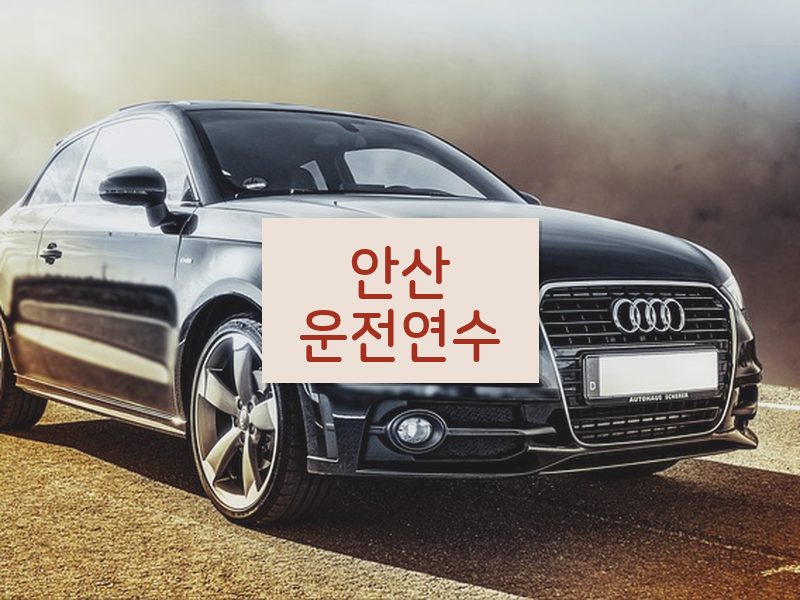 안산운전연수 후기