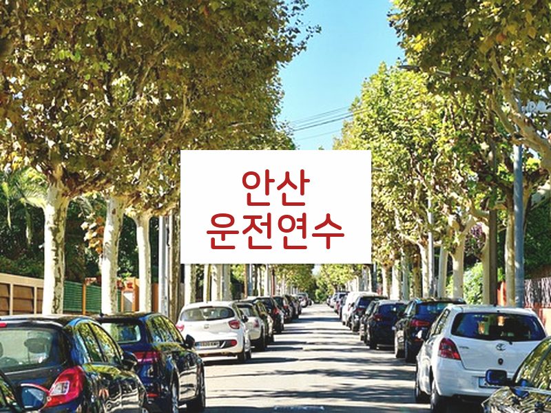 안산운전연수 후기