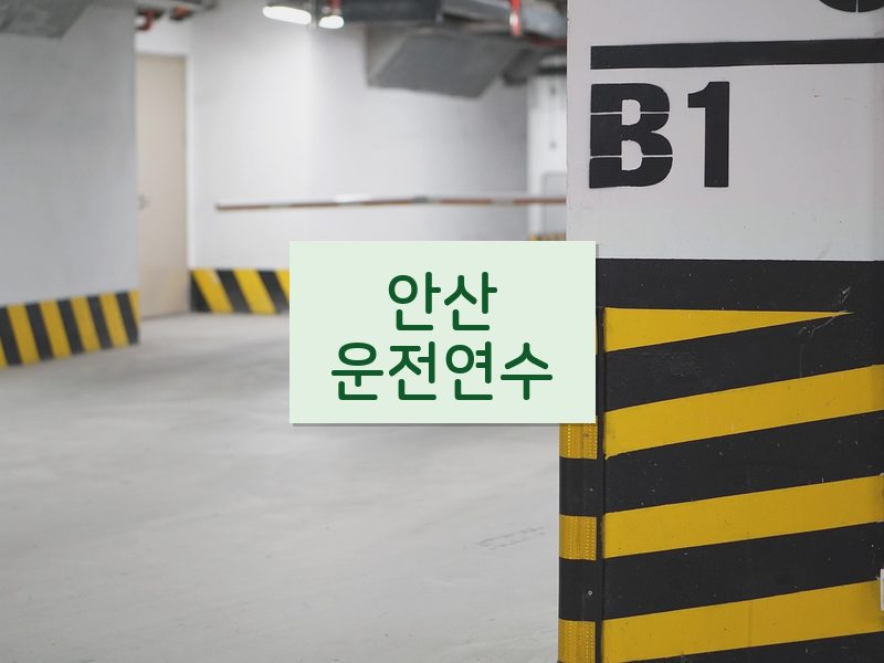 안산운전연수 후기