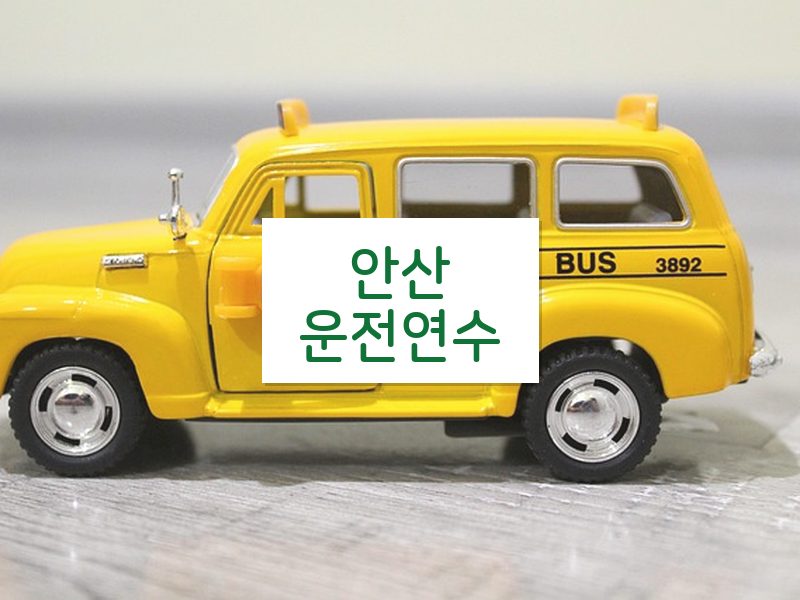 안산운전연수 후기