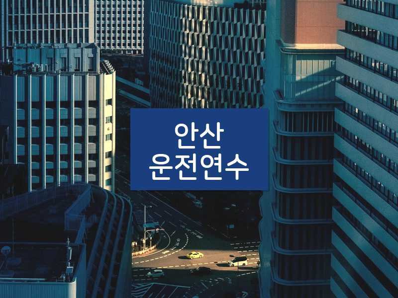 안산운전연수 후기