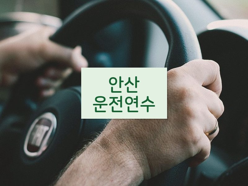 안산운전연수 후기