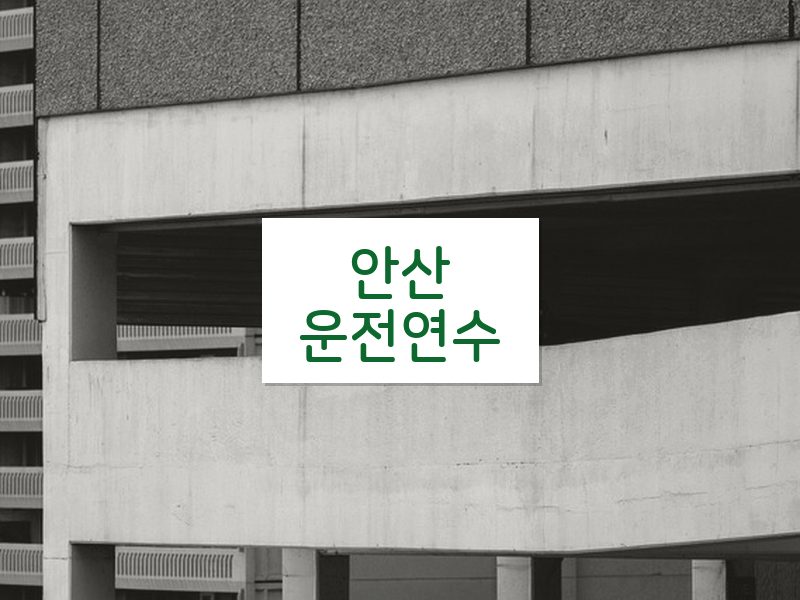 안산운전연수 후기