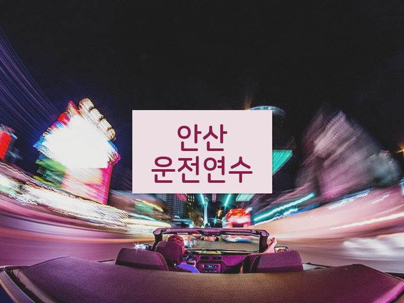 안산운전연수 후기