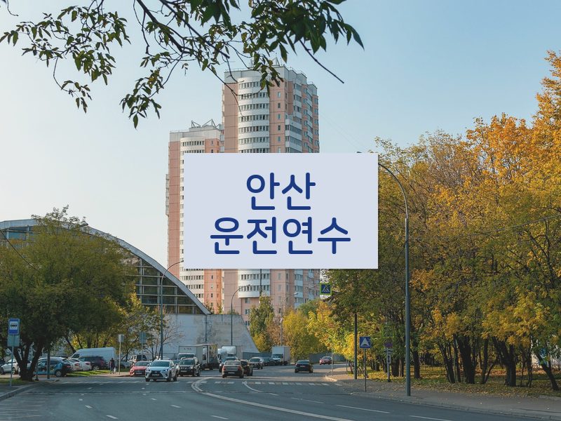 안산운전연수 후기