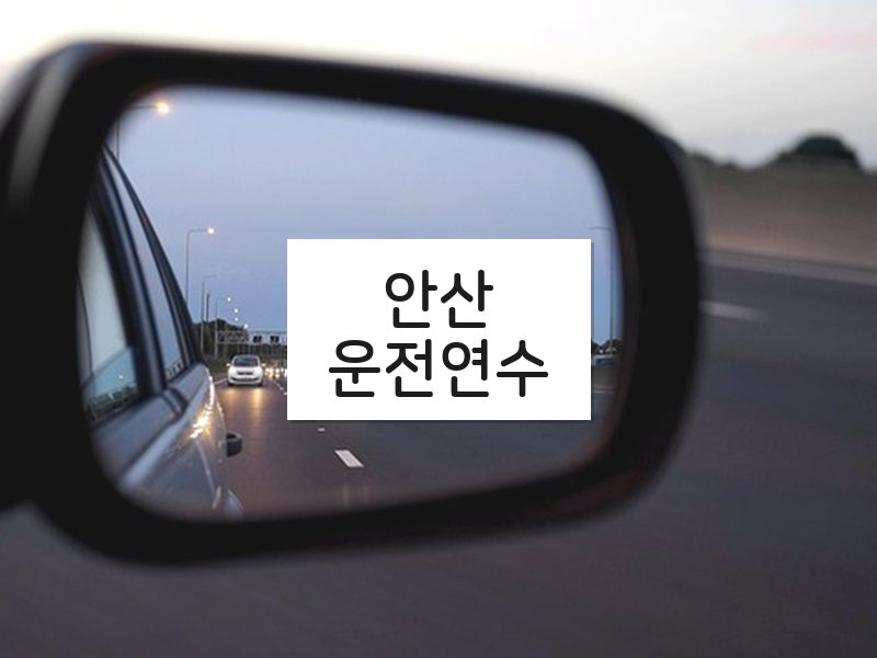 안산운전연수 후기