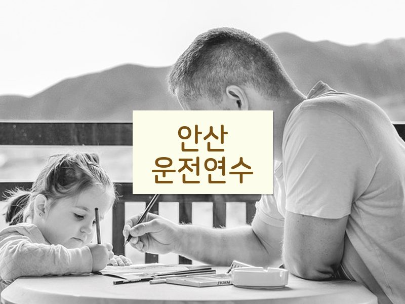 안산운전연수 후기