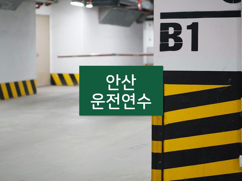 안산운전연수 후기