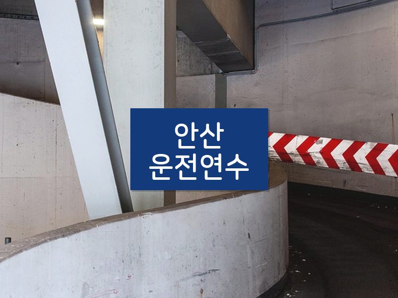 안산운전연수 후기
