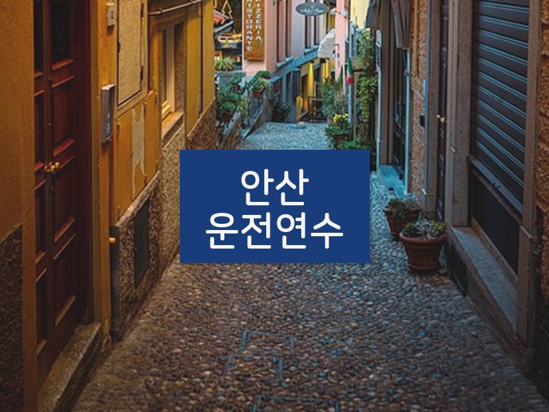 안산운전연수 후기