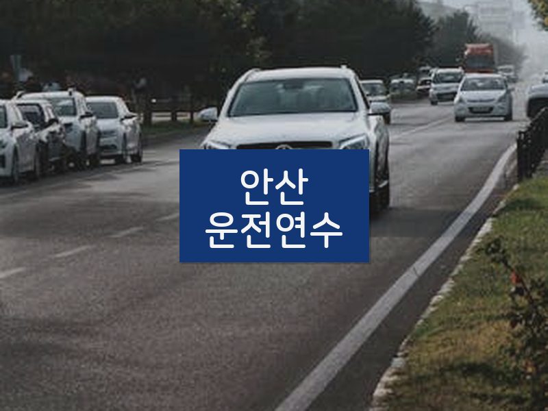 안산운전연수 후기