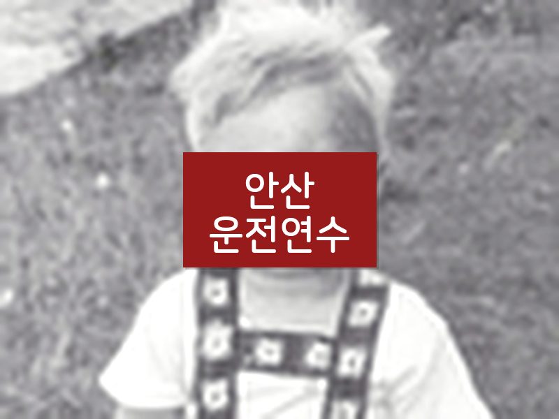 안산운전연수 후기