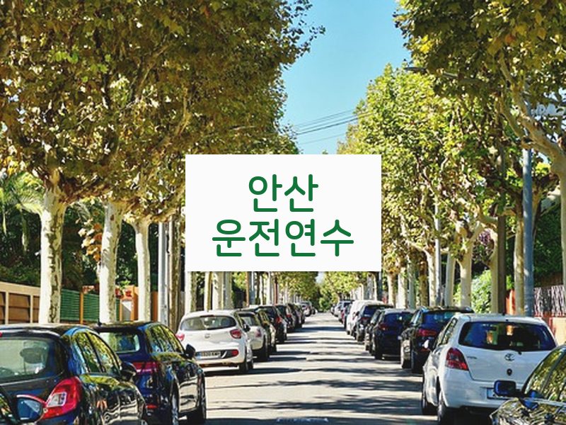 안산운전연수 후기