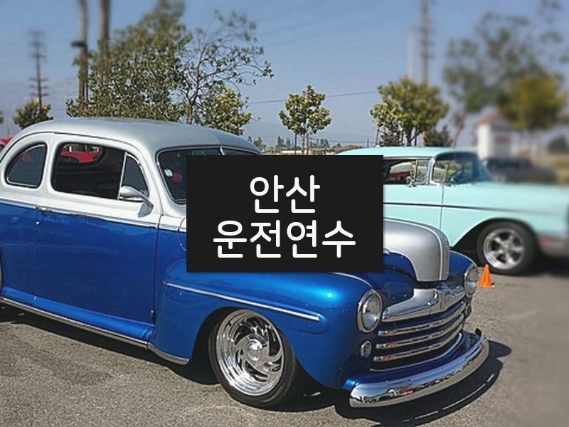 안산운전연수 후기