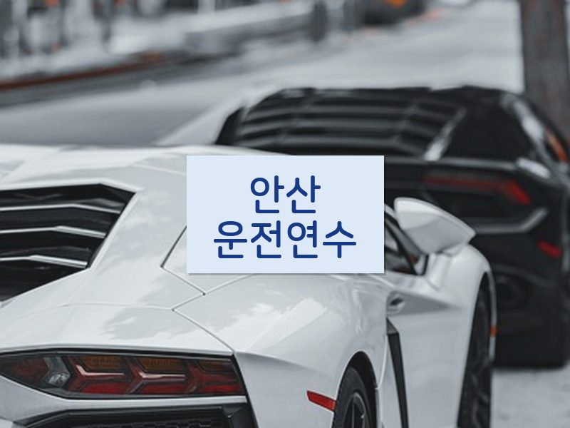 안산운전연수 후기