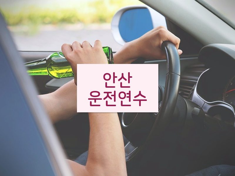 안산운전연수 후기