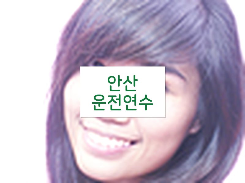 안산운전연수 후기