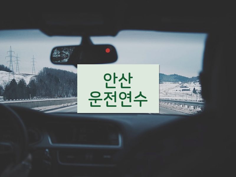 안산운전연수 후기