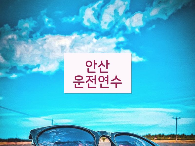 안산운전연수 후기