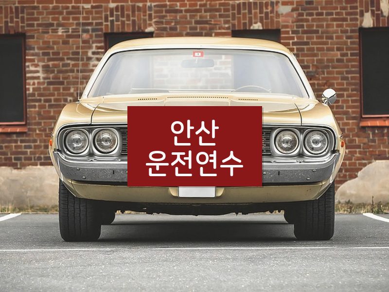 안산운전연수 후기