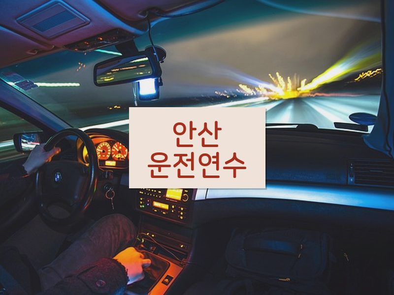 안산운전연수 후기