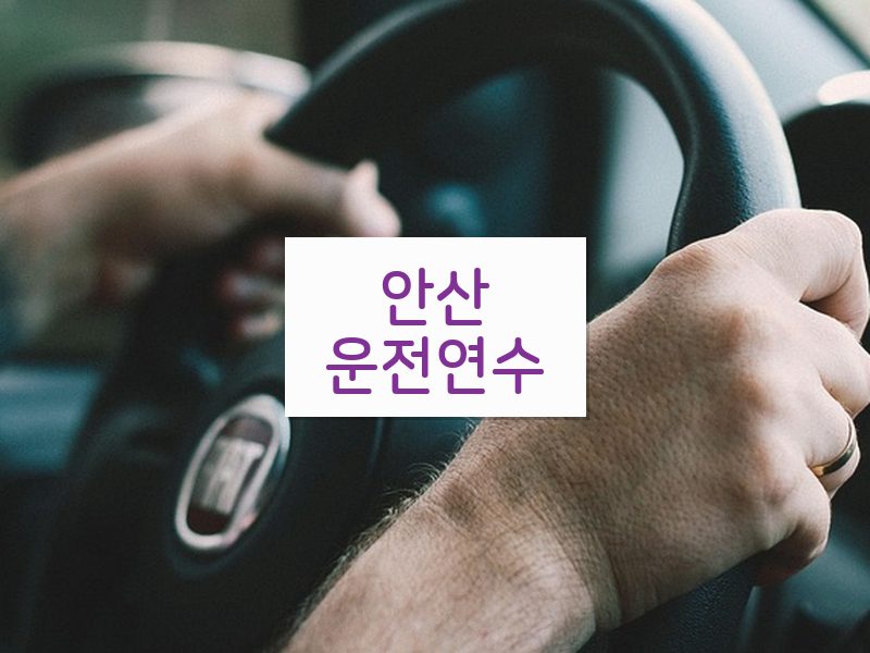 안산운전연수 후기