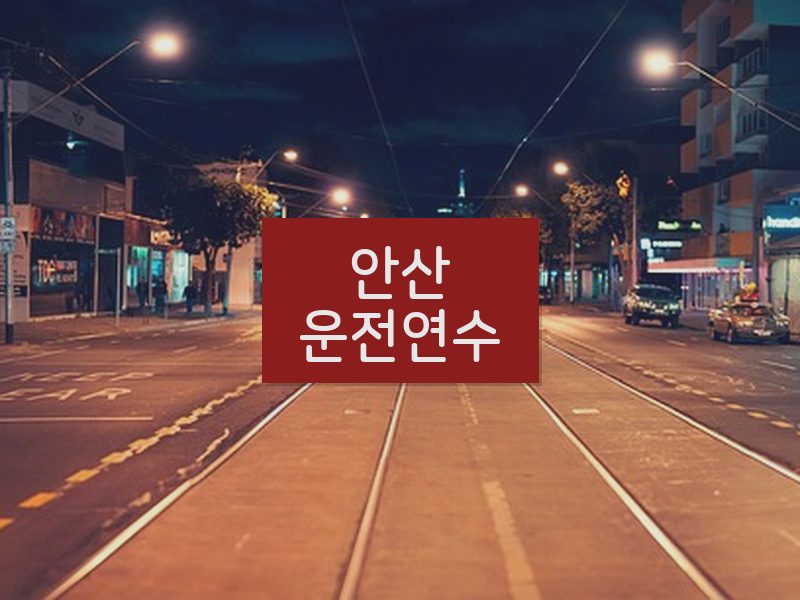 안산운전연수 후기