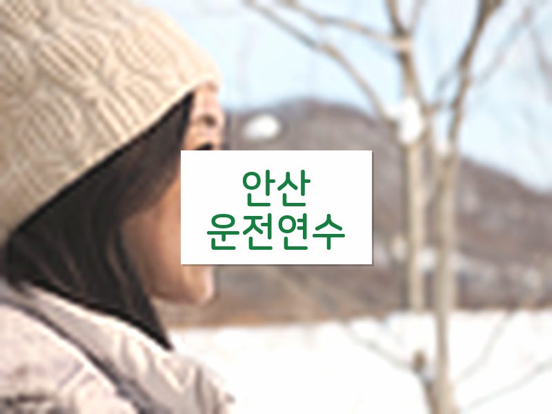 안산운전연수 후기