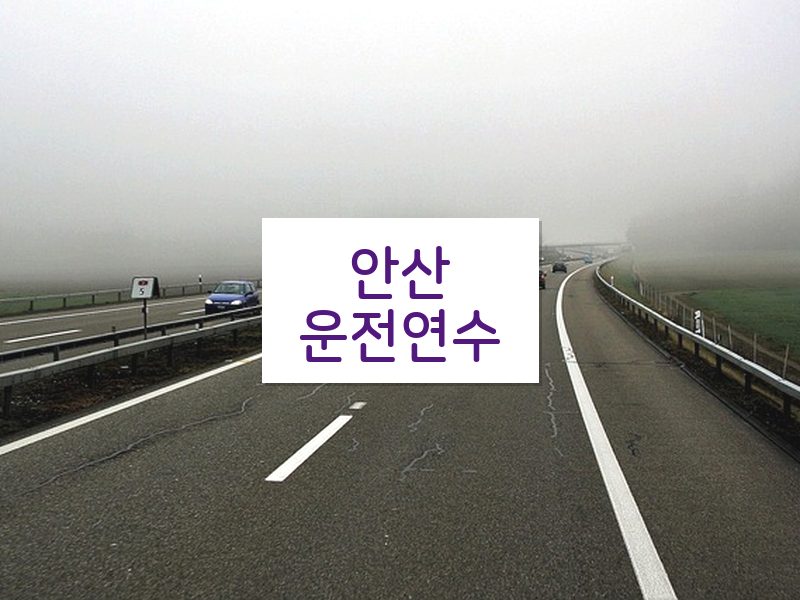 안산운전연수 후기