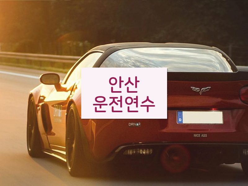 안산운전연수 후기