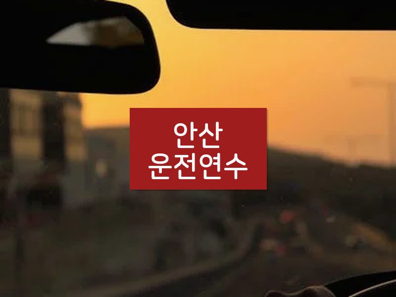안산운전연수 후기