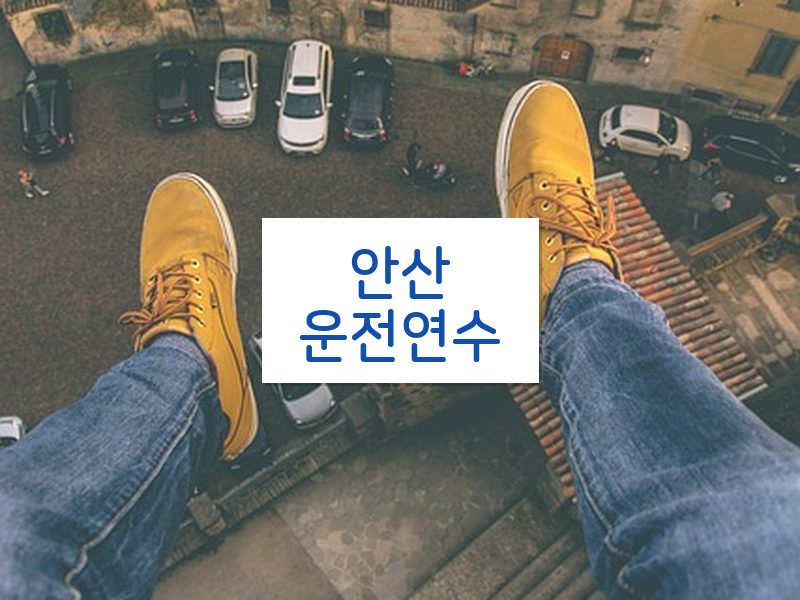 안산운전연수 후기