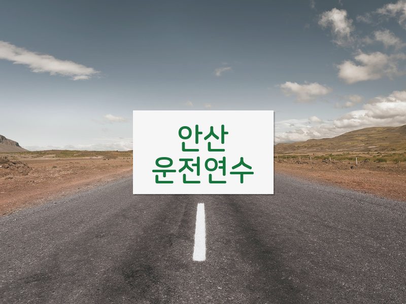 안산운전연수 후기