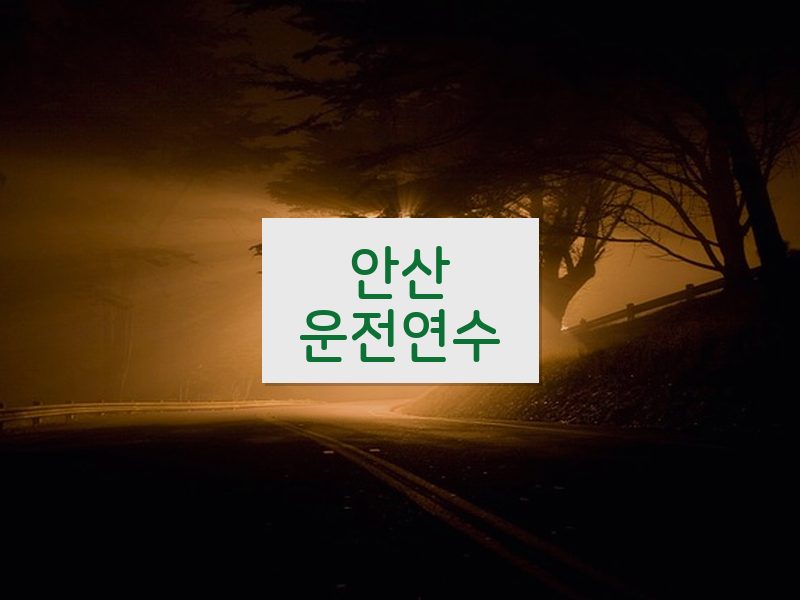 안산운전연수 후기