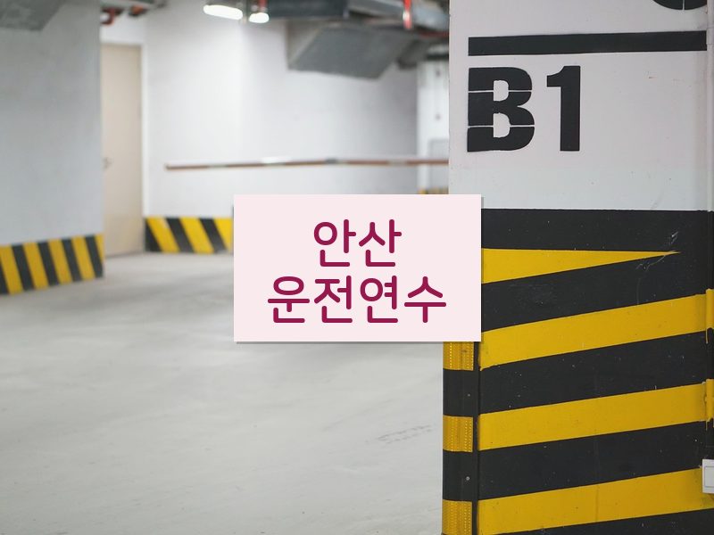 안산운전연수 후기