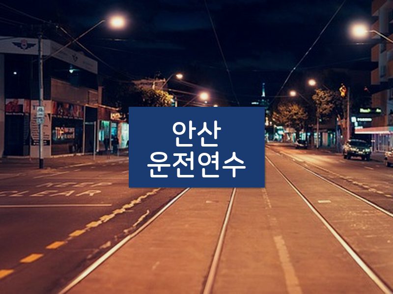 안산운전연수 후기