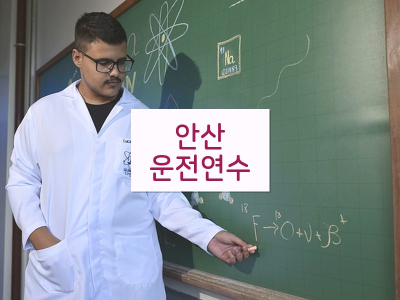안산운전연수 후기