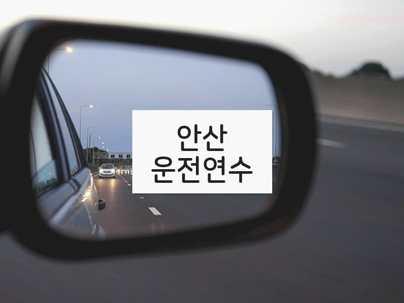 안산운전연수 후기