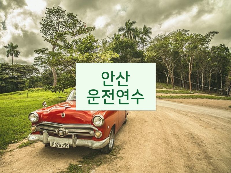 안산운전연수 후기