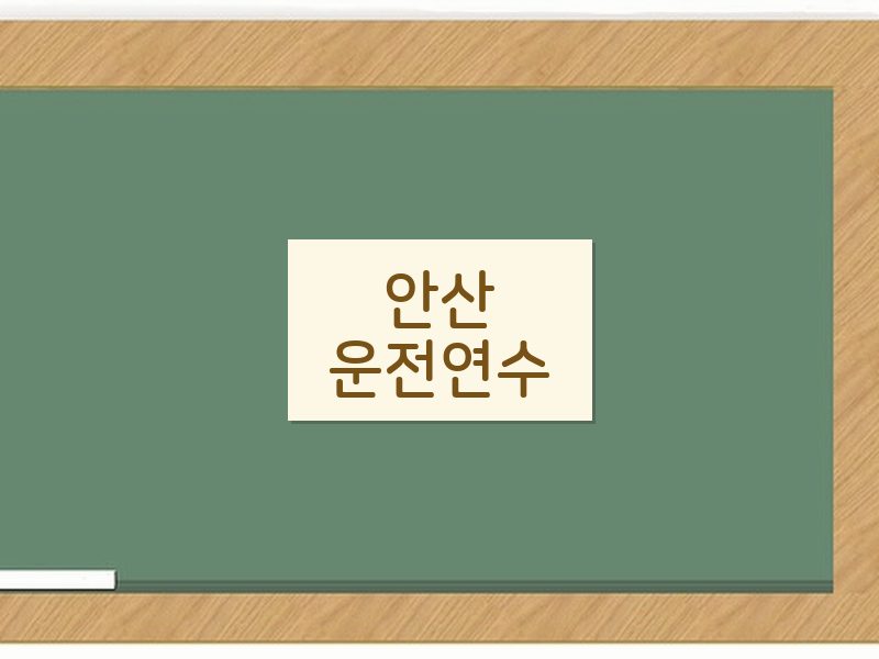 안산운전연수 후기