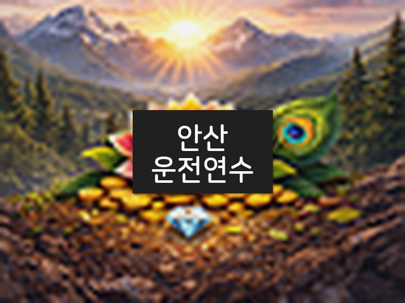 안산운전연수 후기