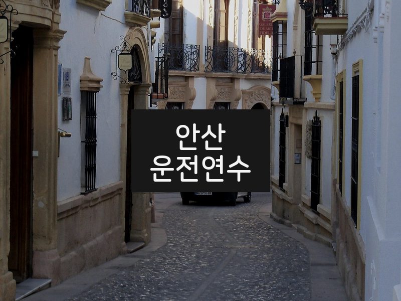 안산운전연수 후기