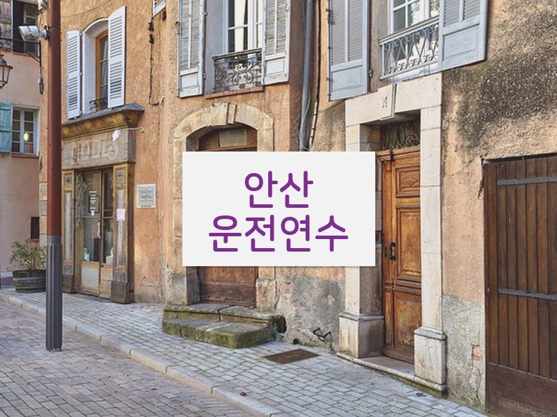 안산운전연수 후기