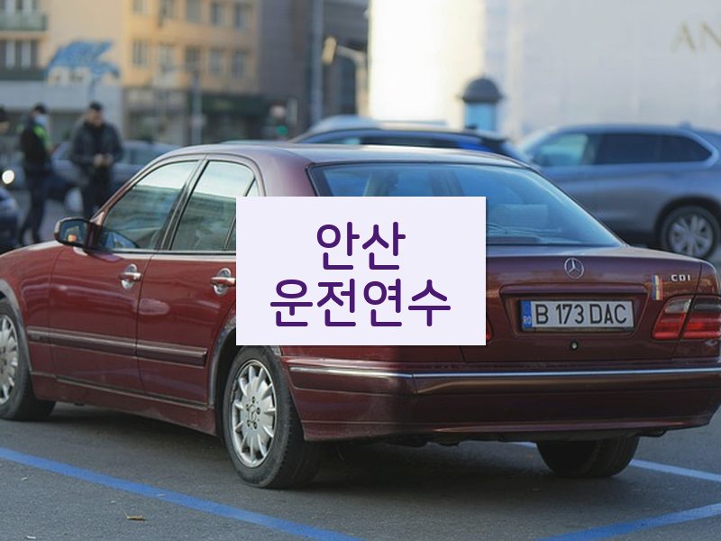 안산운전연수 후기