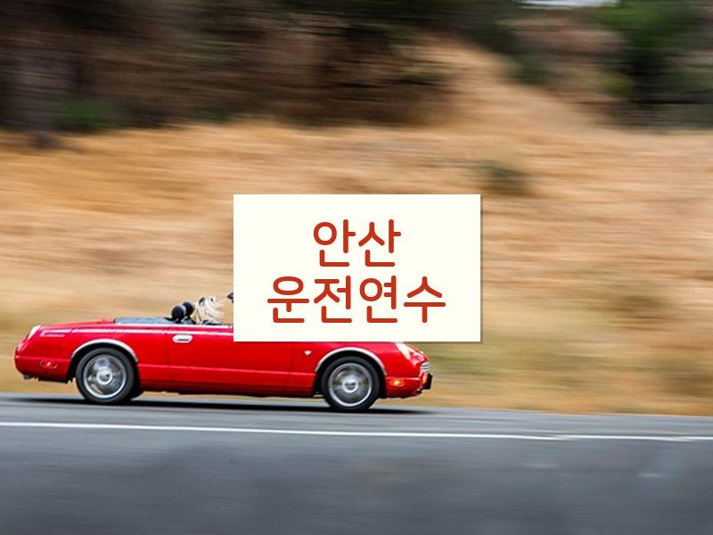 안산운전연수 후기