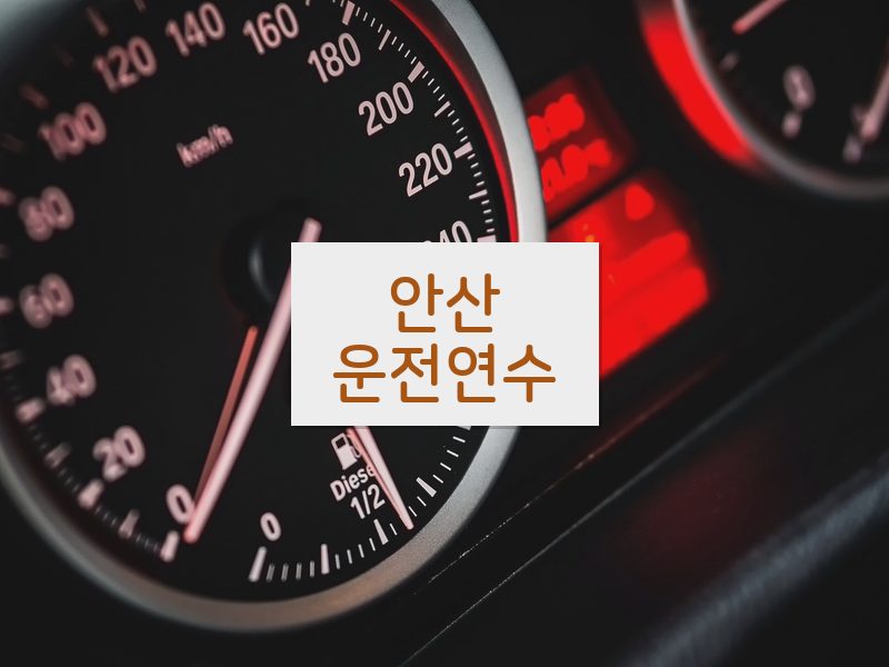 안산운전연수 후기