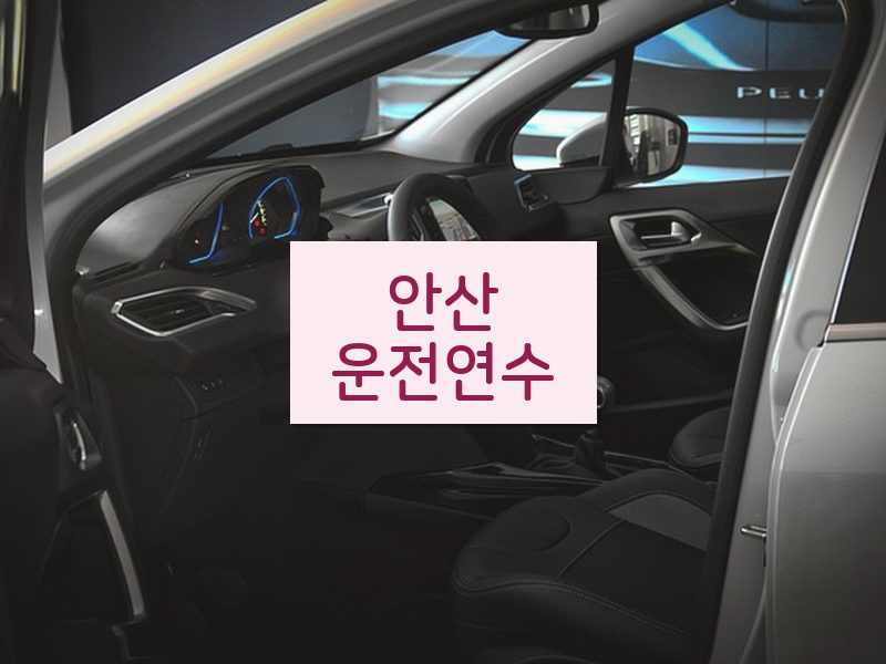 안산운전연수 후기