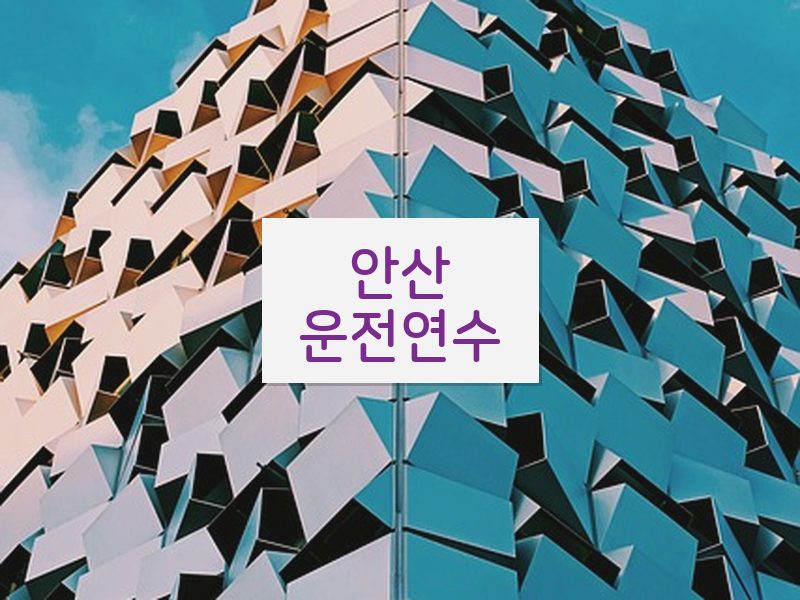 안산운전연수 후기