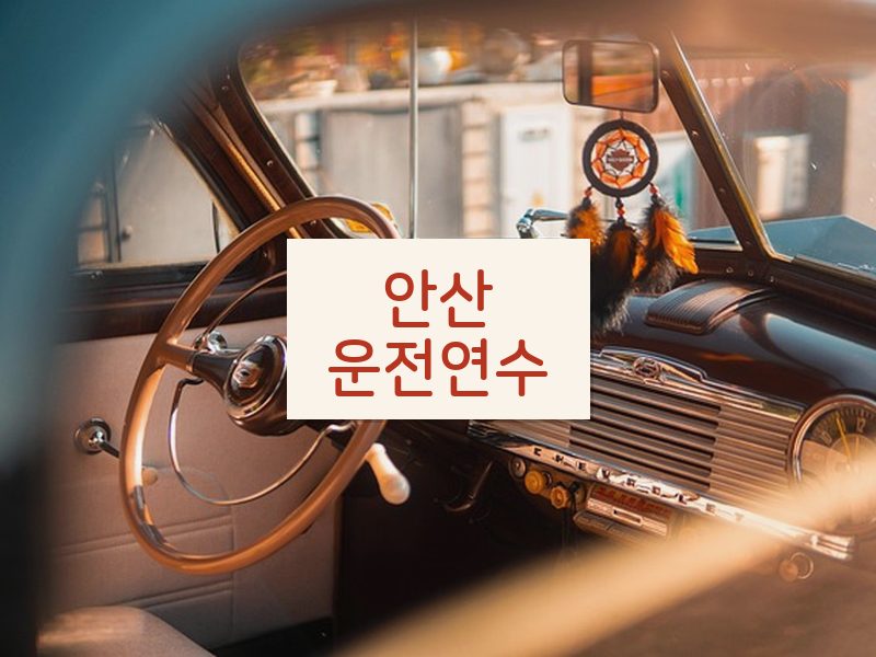 안산운전연수 후기
